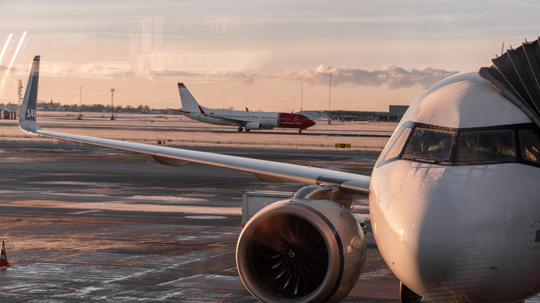 Travelers Regret Flying With This European Airline