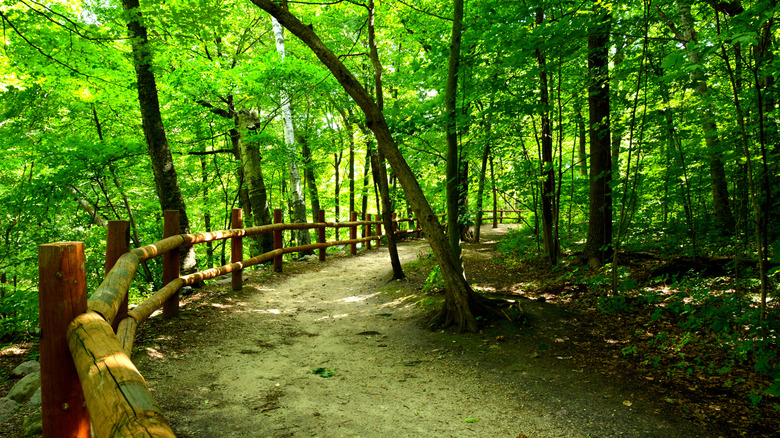 Milwaukee’s Stunning Lakefront Trail Boasts Beautiful Bridges and Wildflowers