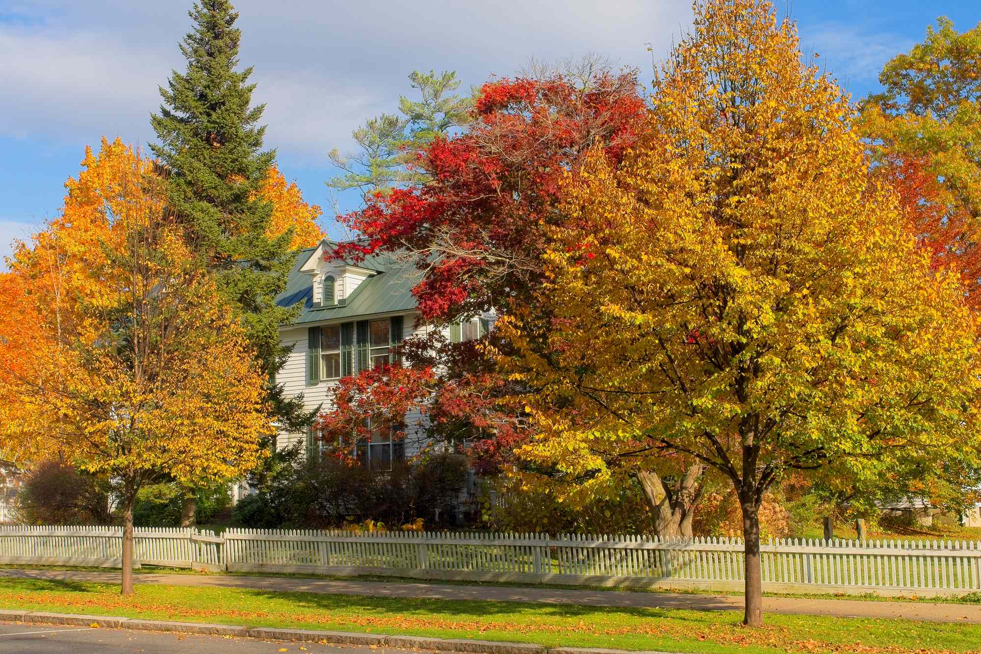 I’ve Lived on the East Coast My Whole Life—This Cozy Town Has the Best Fall Colors