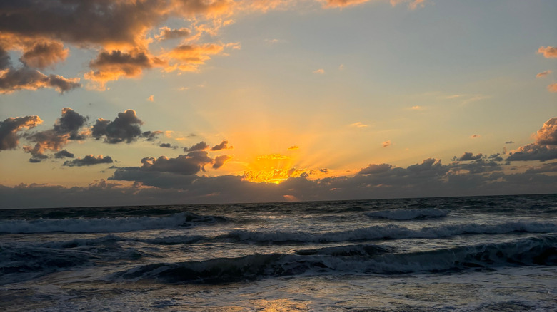 Shark and Crocodile Beaches: A Must-Skip for Florida Vacationers