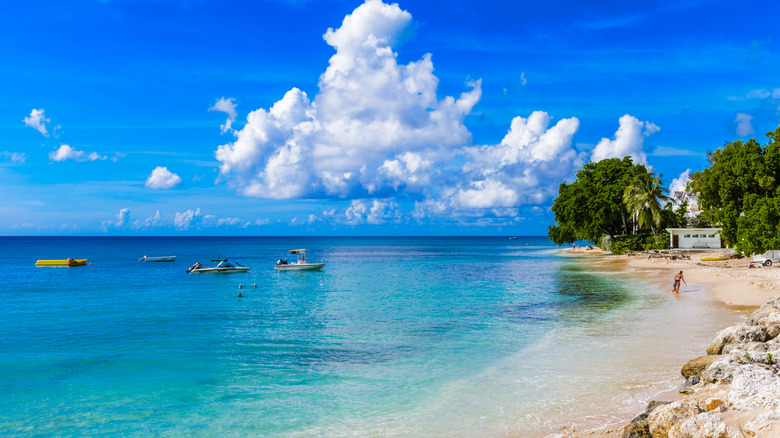 Essential Safety Alert for Caribbean Beachgoers Before Swimming