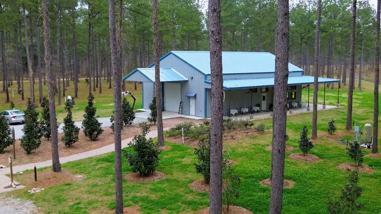 Louisiana’s Only Tea Farm Offers Countryside Getaways and Exceptional Sips Outside Baton Rouge