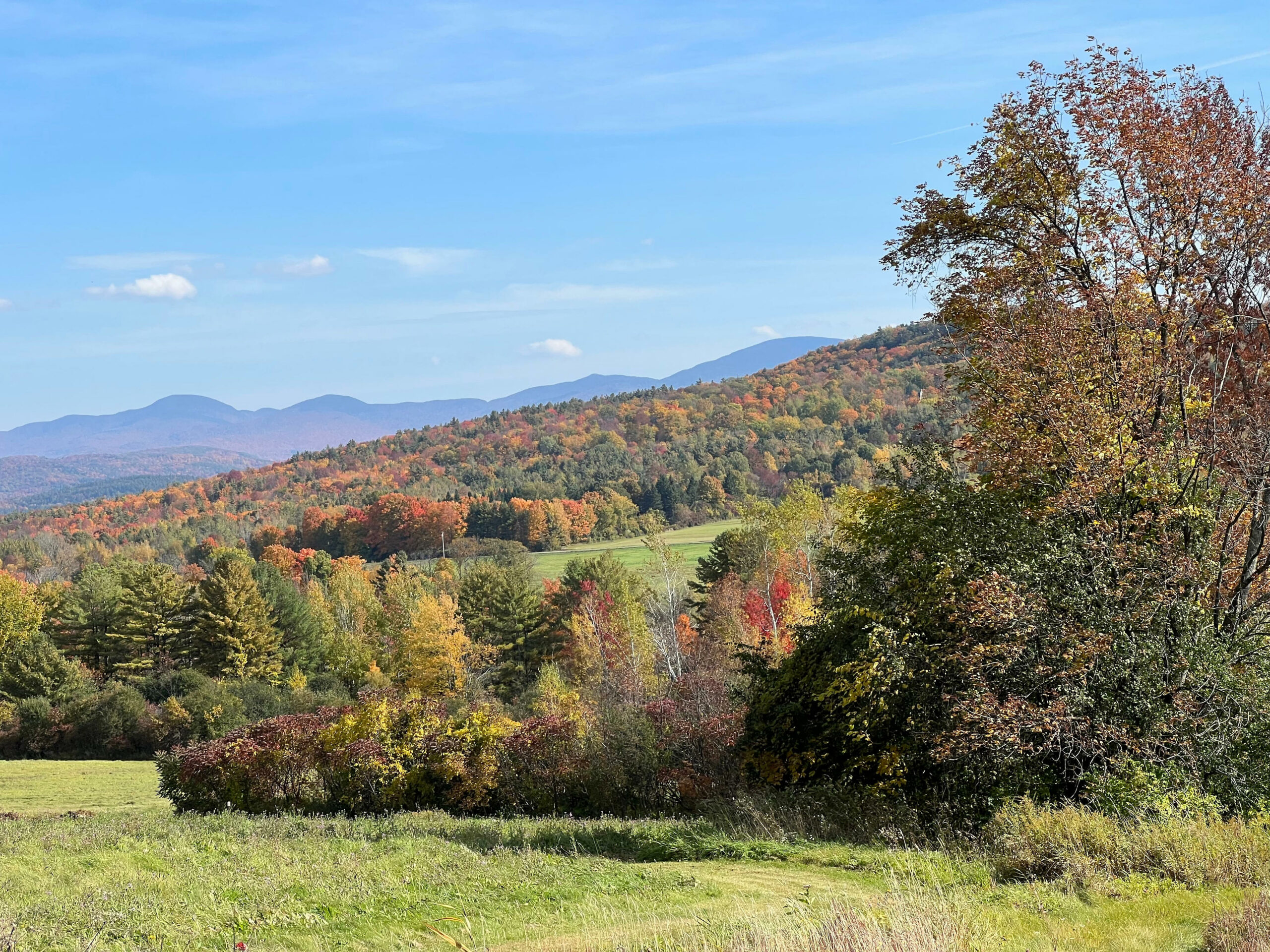 7 Fall Festivals to Enjoy in Vermont This Season
