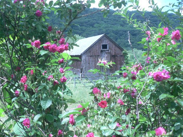 Top U.S. Destinations for an Unforgettable August Vacation