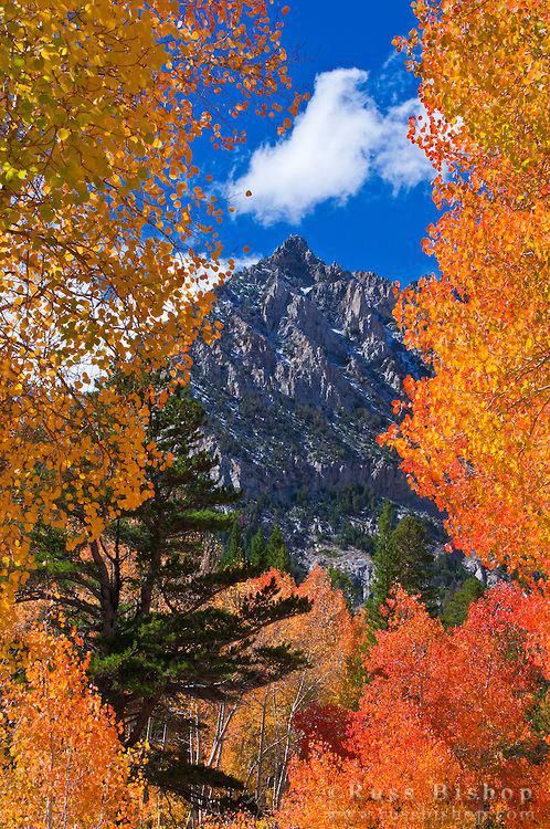 15 Best Places to Visit in the US In November