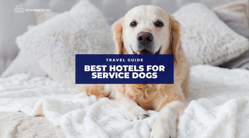 Can a Hotel Deny a Service Dog? What You Need to Know in 2025
