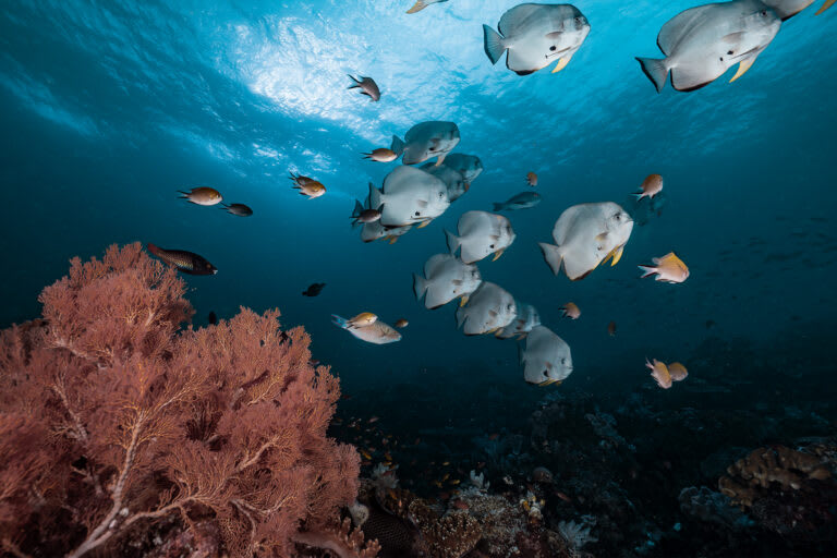 Ocean Equity Index Measures Maritime Justice