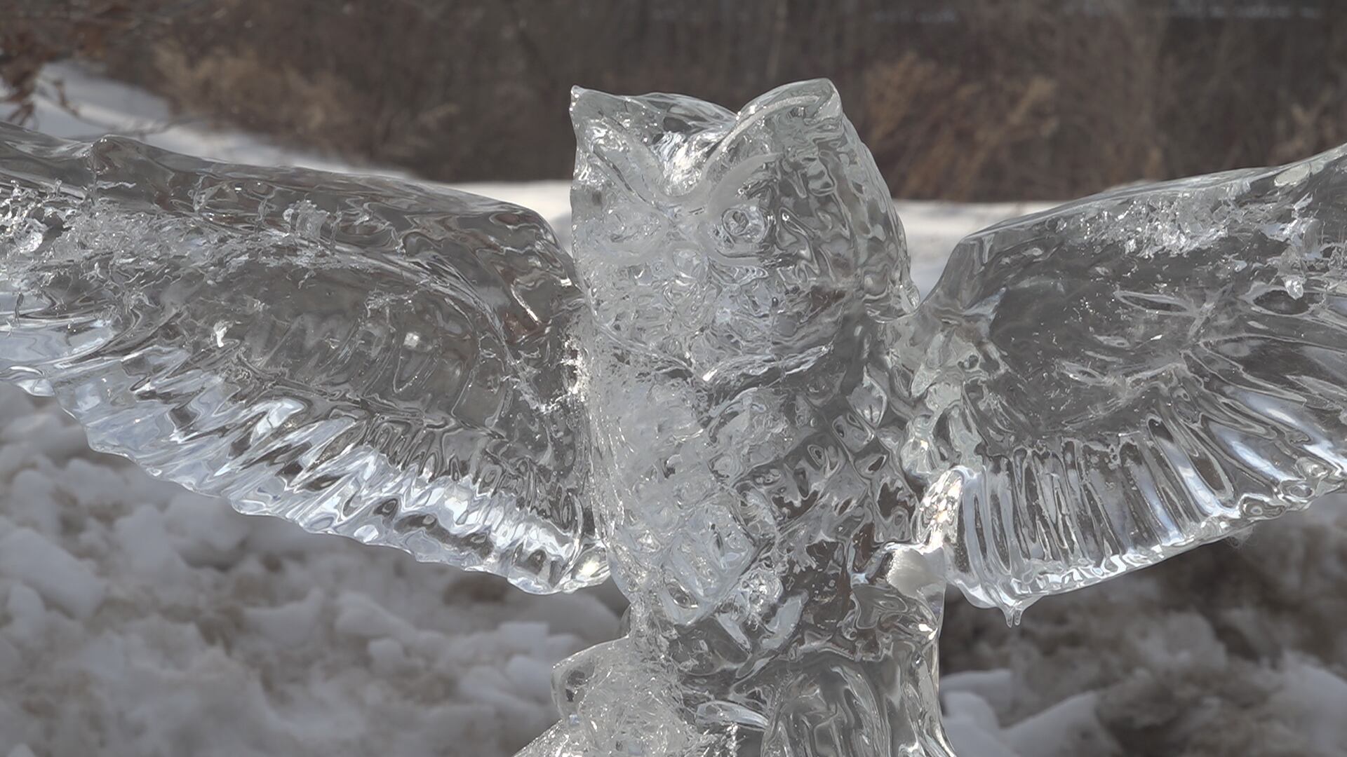 Belfast Ice Festival Kicks Off This Weekend
