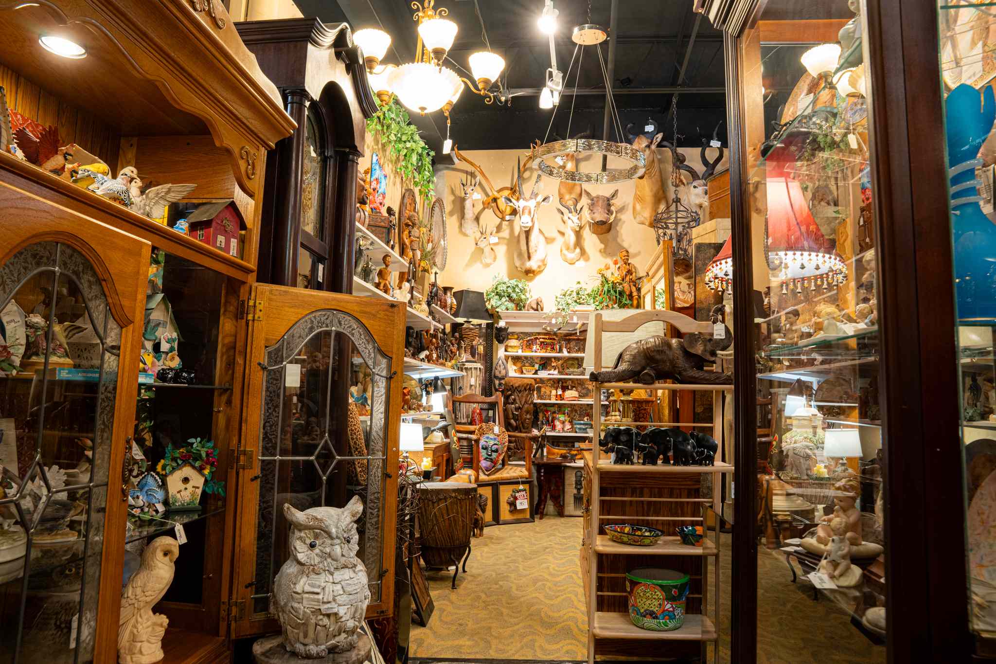 Massive Florida Store Serves  Mimosas While You Shop