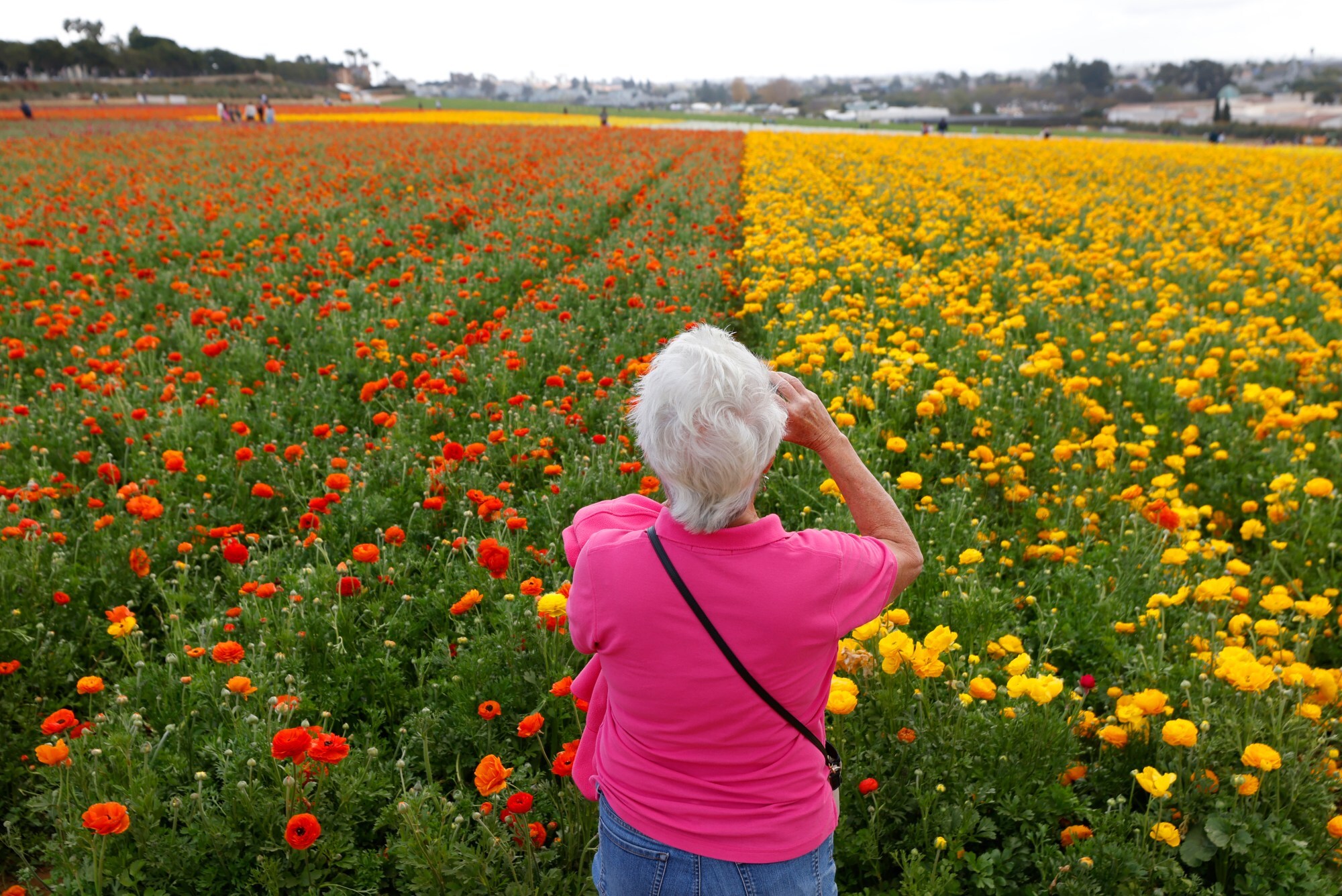 Spring Chick Day to Thursday Club Rummage Sale: San Diego Community Events