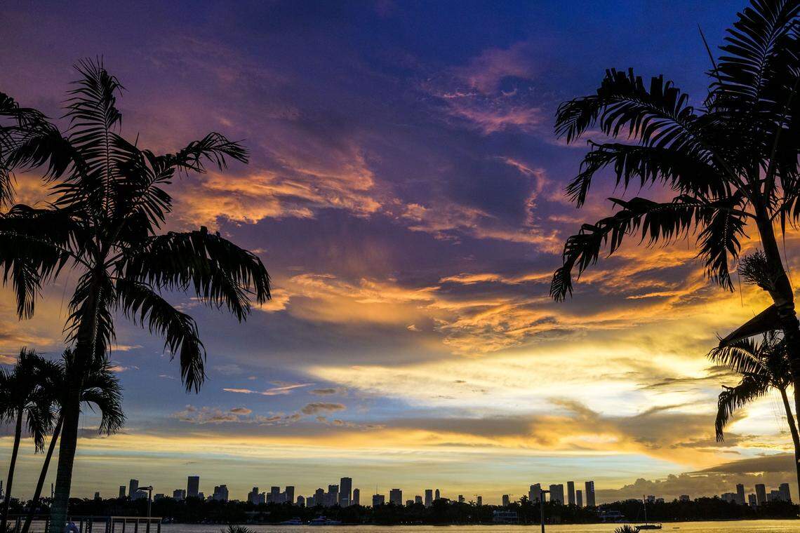 Miami weekend hacks: a neighborhood guide