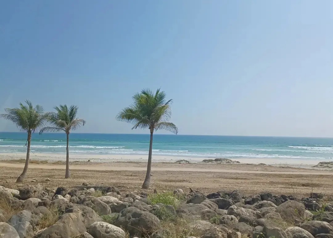 Driving Through Oman’s Camel Country