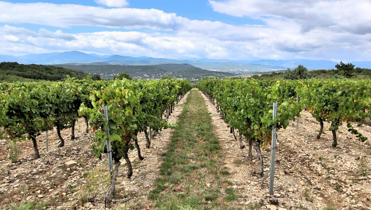 Why travelers are skipping Italy’s vineyards for this hidden gem