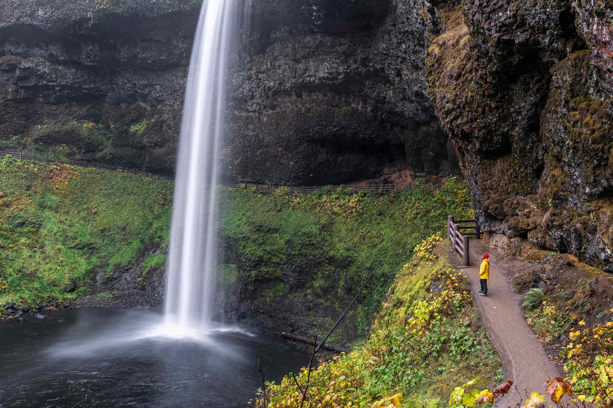 Oregon’s 7-Mile Trail Leads to 10 Waterfalls in Largest State Park