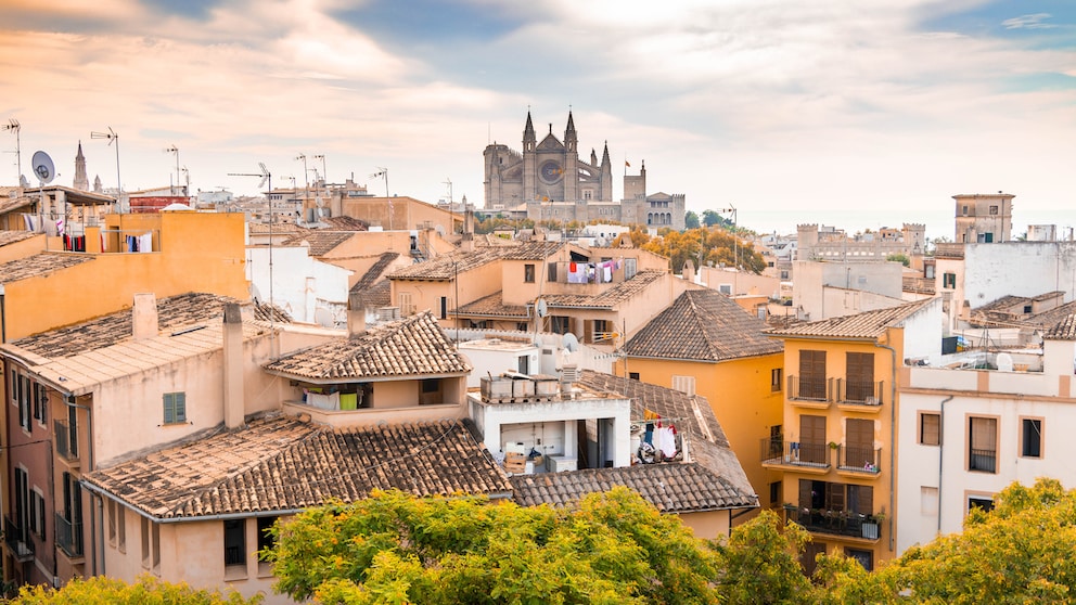 Beyond Party Tourism: What Mallorca Aims to Represent in the Future