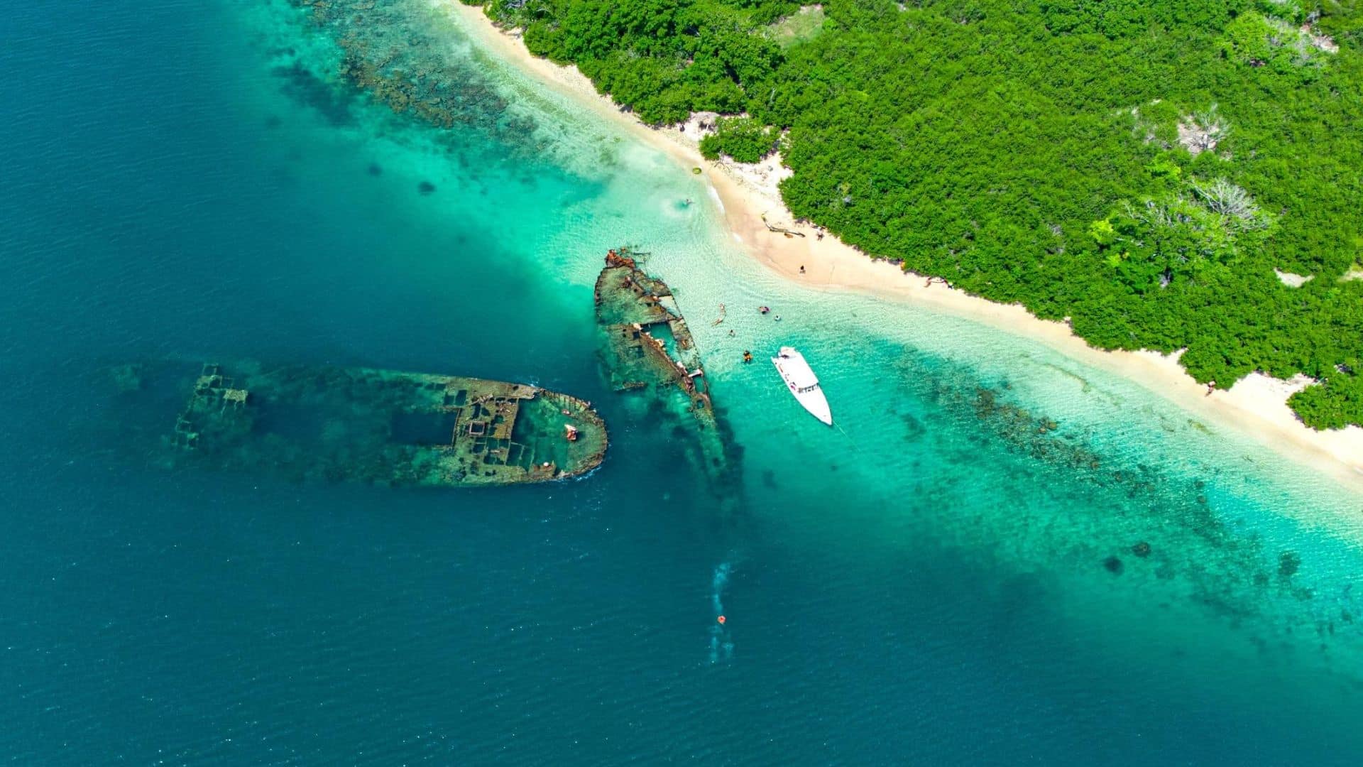 A Venezuelan Beach: Snorkeler’s Time Capsule