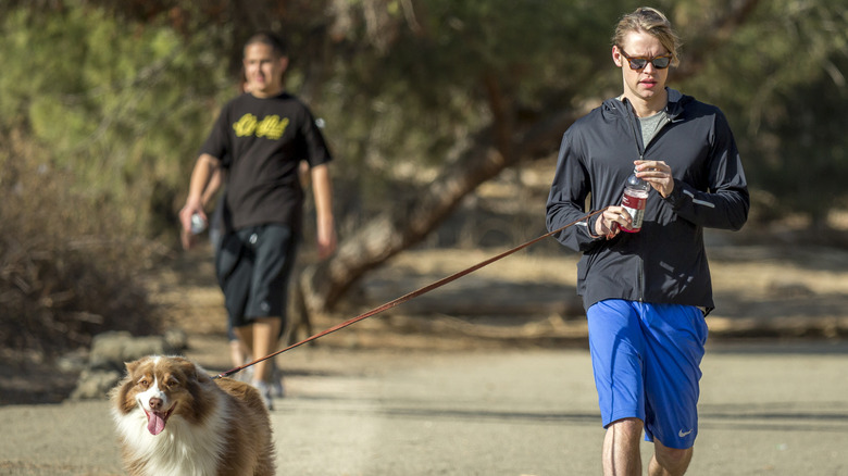 Best Hiking Trail in LA for Celebrity Sightings
