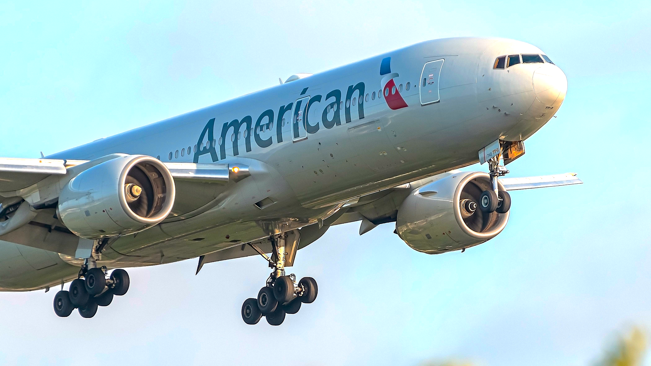 American Airlines Passengers Mourn First-Class Customer’s Mouse-Infested Nightmare at Major Hub Supplier