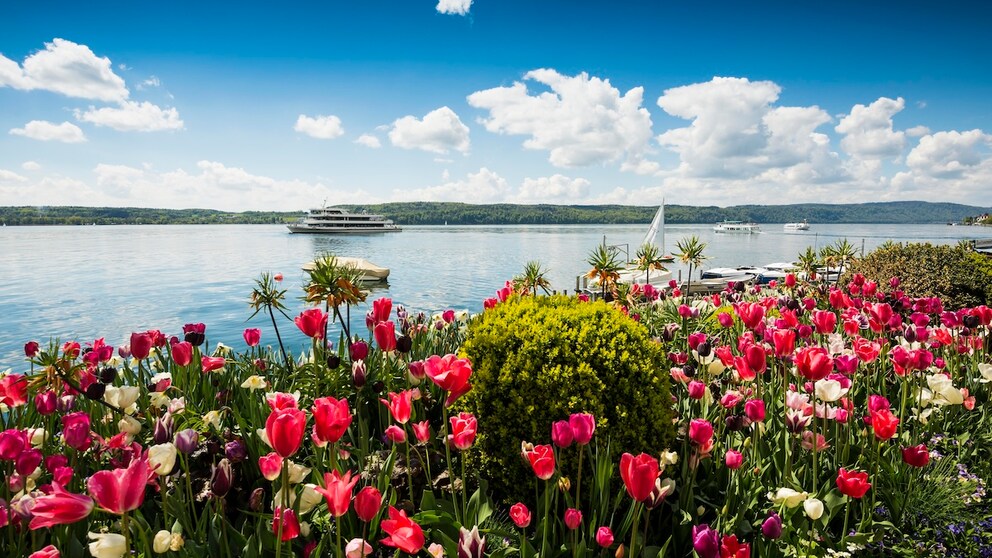 7 insider tips for a Lake Constance getaway