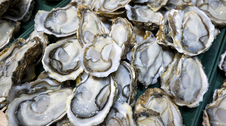A Guide to East Coast Oyster Varieties