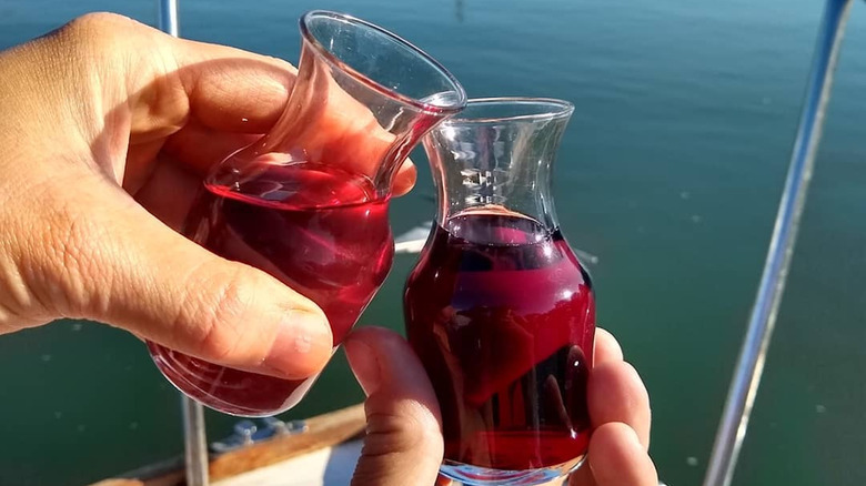 Sacramento River Cruise: Scenic Beauty and Wine Tastings