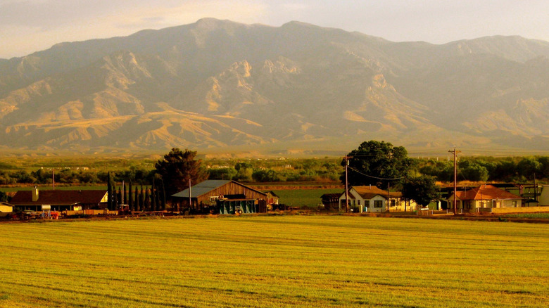 Southern Arizona’s ‘Sky Island’ Soars Above the Desert Landscape
