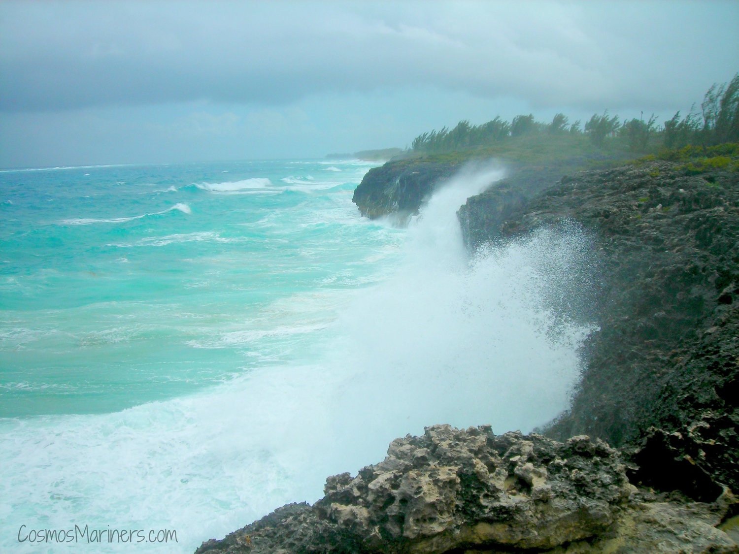 Morgan’s Bluff Adventure: Pirates and Hidden Caves in Andros, Bahamas