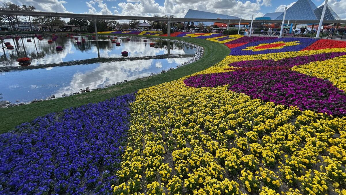 How Florida Parks Saved Their Plants During Freezes