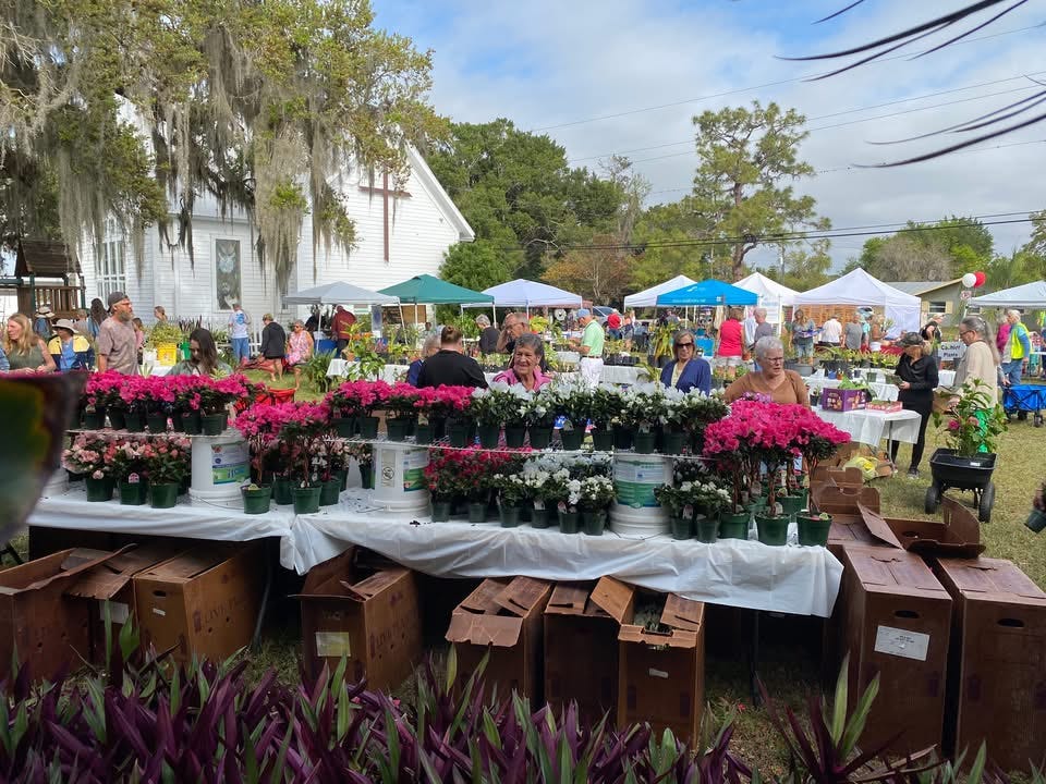 Alva’s Strawberry Fest, Plant Sale & Quilt Show Honor Florida Charm