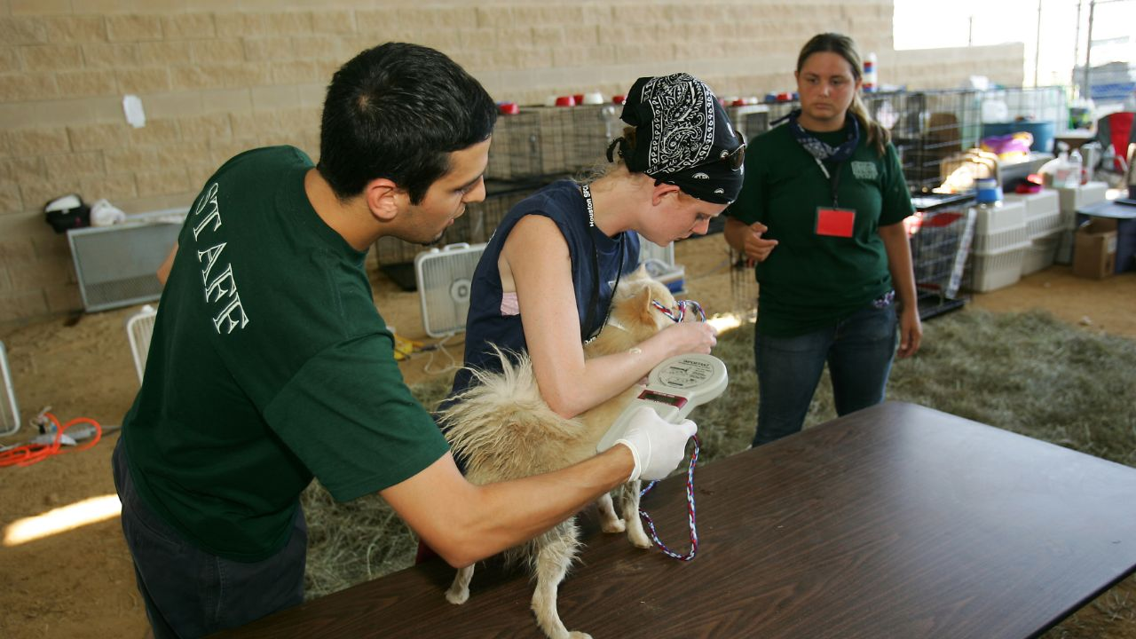 Is Your Pet’s Microchip Outdated? 2026 Tech Every Traveling Owner Must Know