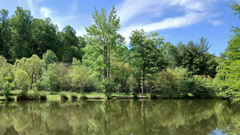 A Hidden Gem Near Asheville Offers Stunning Mountain Views and a Charming Inn
