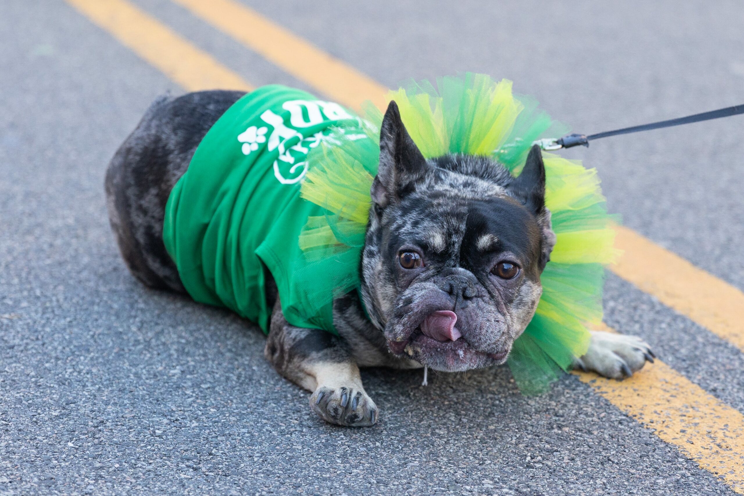 Mid-Hudson St. Patrick’s Day Festivities