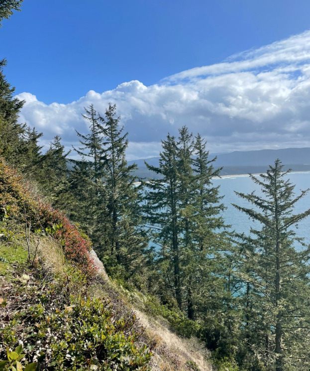Oregon’s top 5 scenic hiking trails in Portland, reviewed by travelers