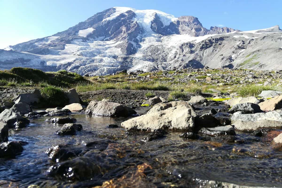 No More Timed Entry at Mount Rainier: Impact on Lines and Parking