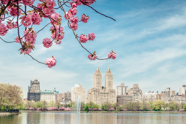 What to Do in NYC This Spring: Top Attractions and Events