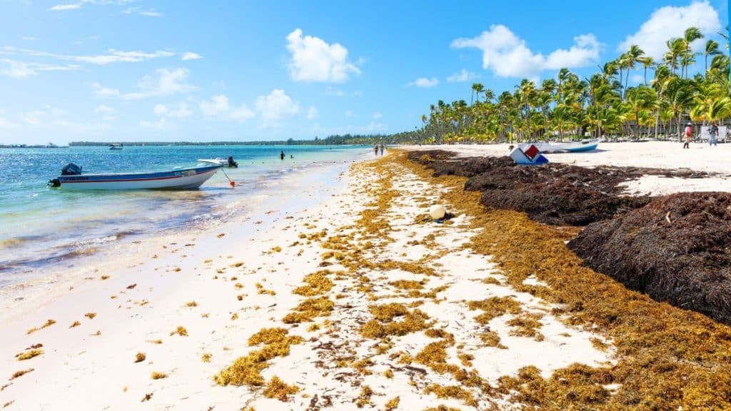 U.S. Travel Advisory for the Dominican Republic: What You Need to Know in 2025