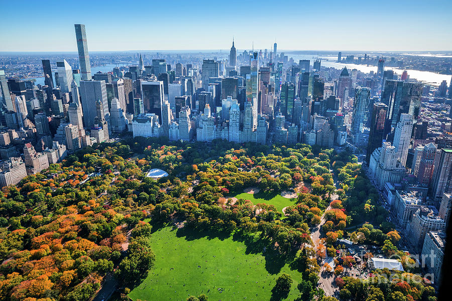 Discover the Best of Central Park in New York City: A Traveler’s Guide