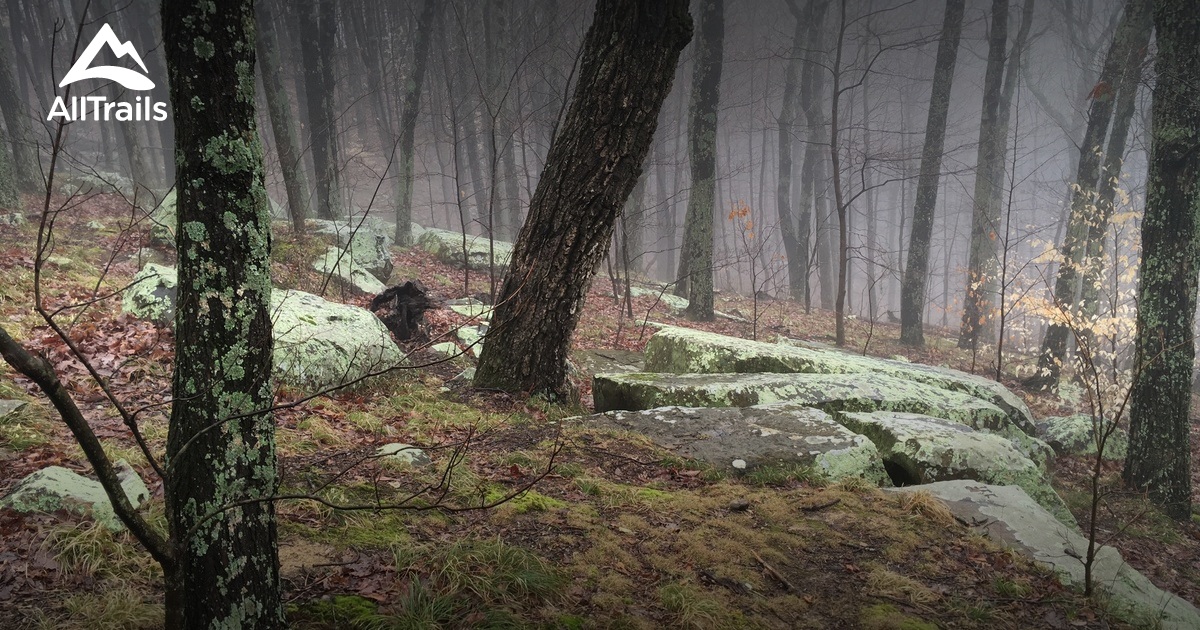 Indiana Travel Advisory 2025: What You Need to Know Before You Go