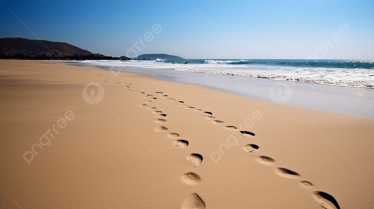 Top Summer Beach Wallpapers to Refresh Your Device This Season