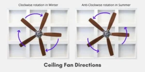 How to Determine the Best Fan Direction for Summer Comfort