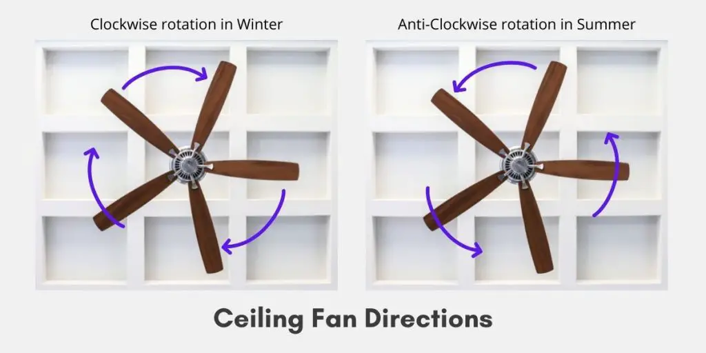 How to Determine the Best Fan Direction for Summer Comfort